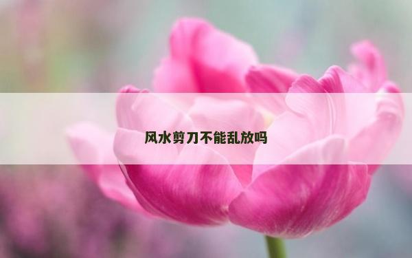 风水剪刀不能乱放吗
