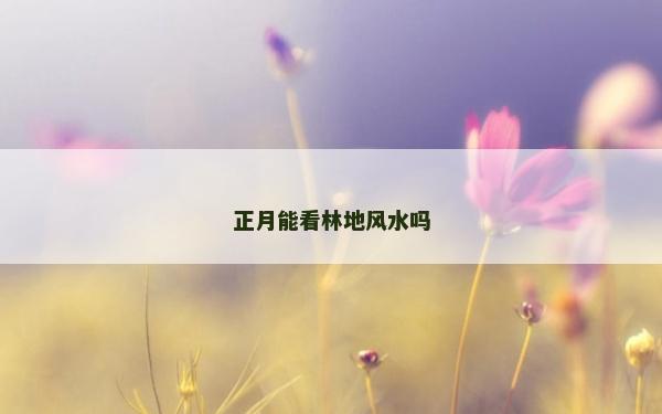 正月能看林地风水吗