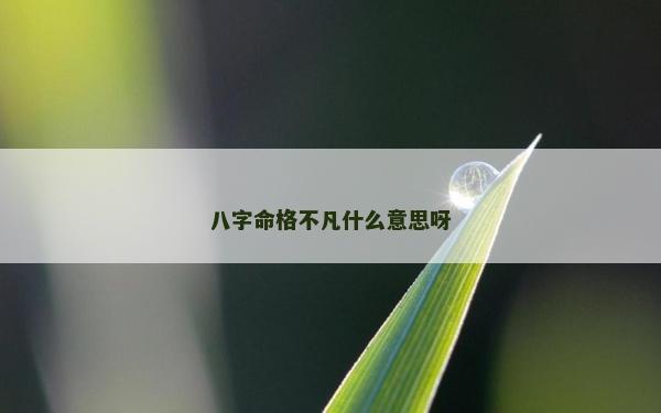 八字命格不凡什么意思呀