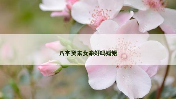 八字癸未女命好吗婚姻