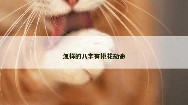 怎样的八字有桃花劫命