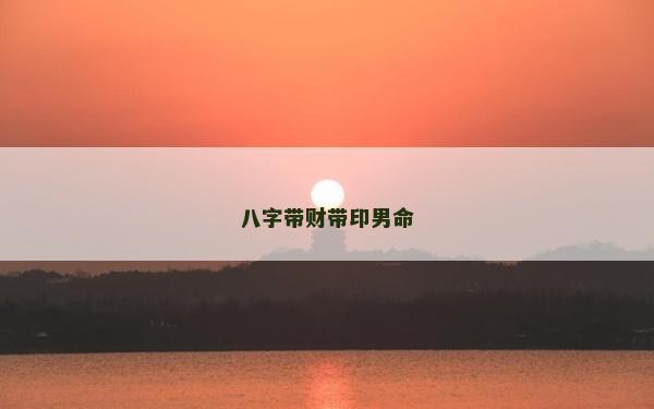 八字带财带印男命