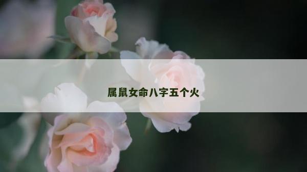 属鼠女命八字五个火