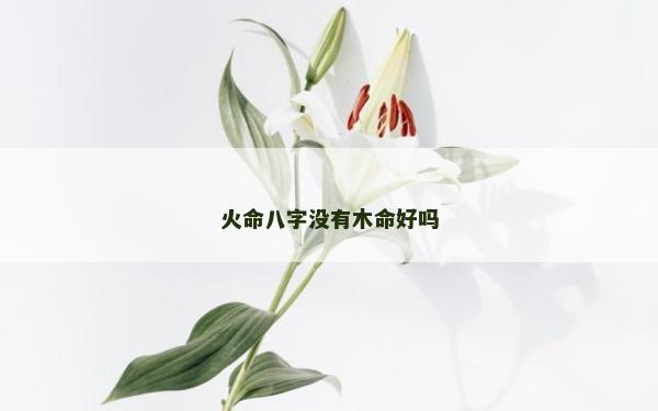 火命八字没有木命好吗