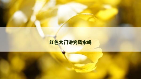 红色大门讲究风水吗