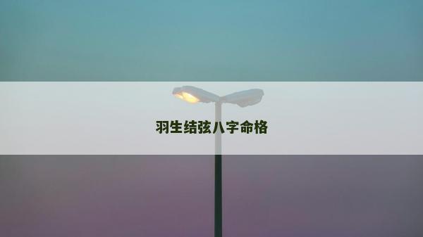 羽生结弦八字命格