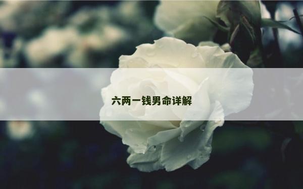 六两一钱男命详解