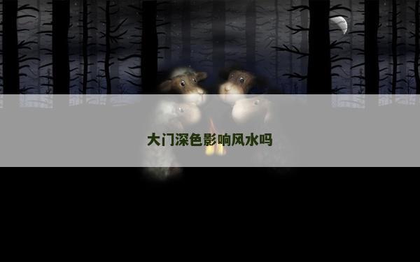 大门深色影响风水吗