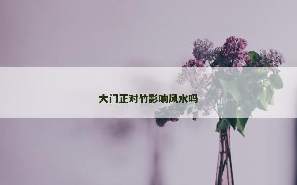 大门正对竹影响风水吗