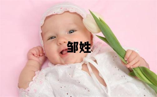 邹姓大气文雅的女孩名字,取什么名字好