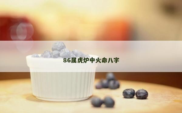 86属虎炉中火命八字