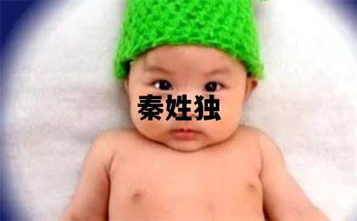 秦姓独特优美的男宝宝名字