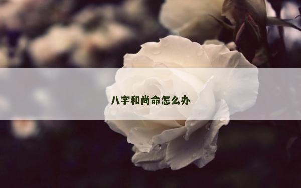 八字和尚命怎么办