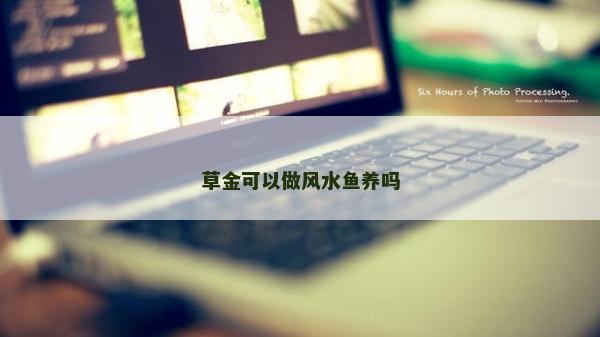 草金可以做风水鱼养吗