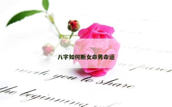 八字如何断女命男命运