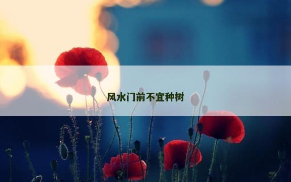 风水门前不宜种树