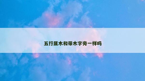 五行属木和带木字旁一样吗