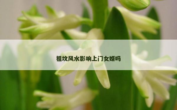 祖坟风水影响上门女婿吗