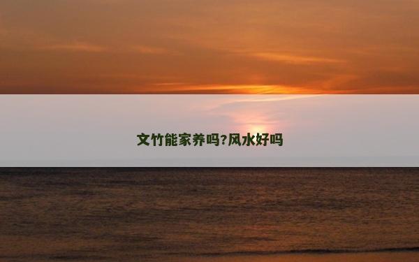 文竹能家养吗?风水好吗