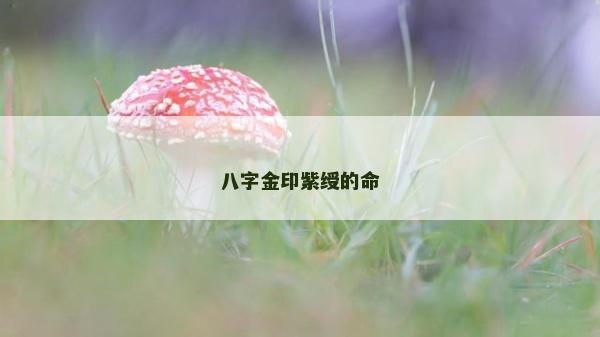 八字金印紫绶的命