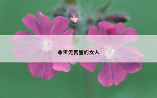 命里无官星的女人