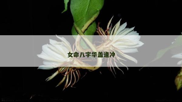 女命八字华盖逢冲