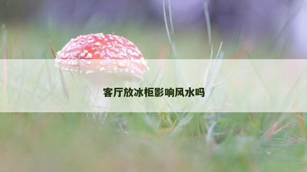 客厅放冰柜影响风水吗