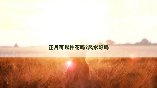 正月可以种花吗?风水好吗