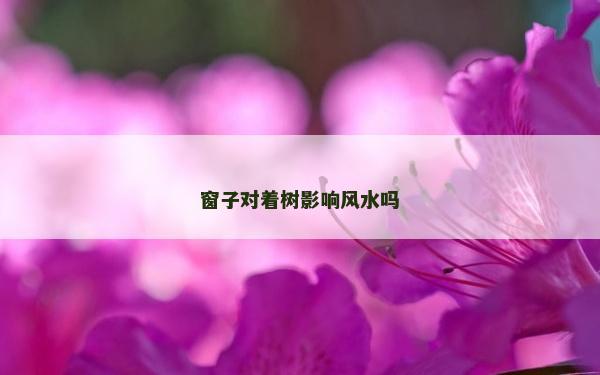 窗子对着树影响风水吗