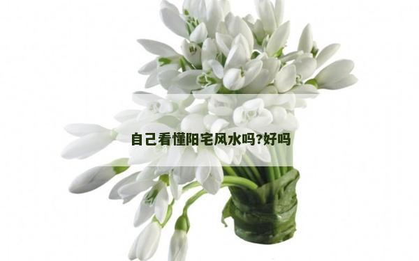 自己看懂阳宅风水吗?好吗