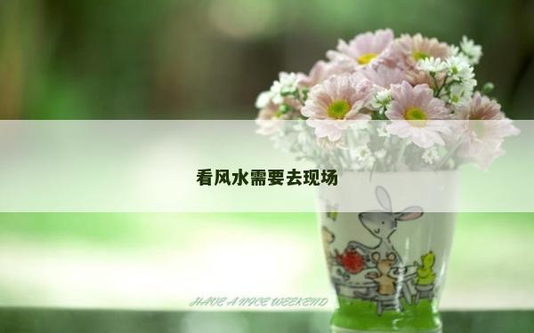看风水需要去现场