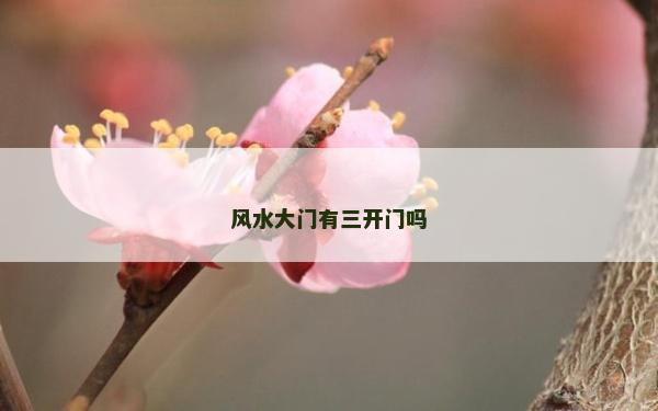 风水大门有三开门吗