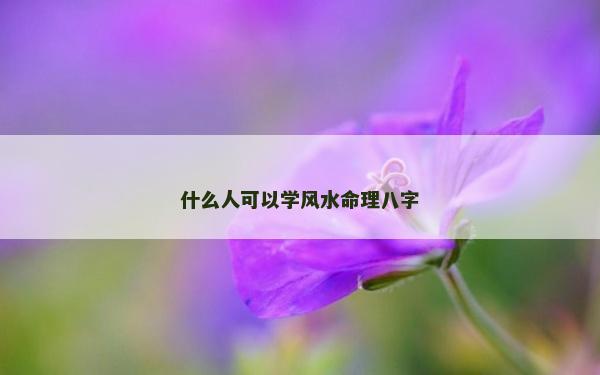 什么人可以学风水命理八字