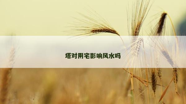 塔对阴宅影响风水吗