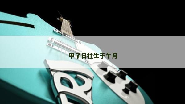 甲子日柱生于午月