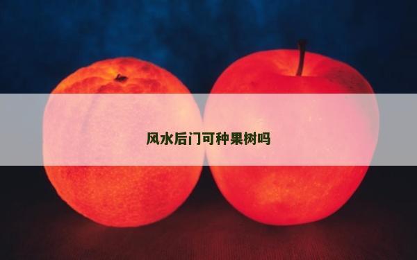 风水后门可种果树吗