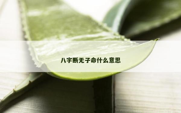 八字断无子命什么意思