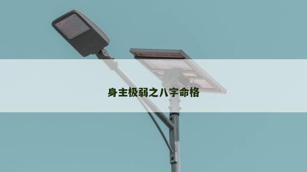 身主极弱之八字命格