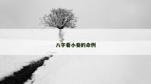 八字看小妾的命例