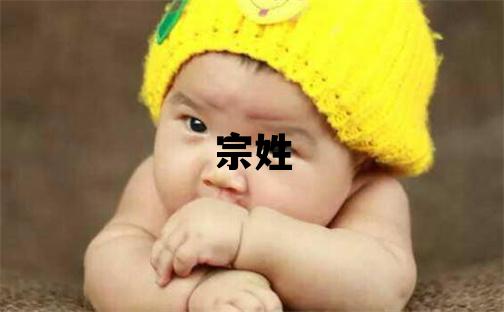 宗姓有含义的男孩名字