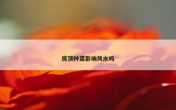 房顶种菜影响风水吗