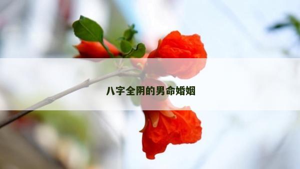八字全阴的男命婚姻