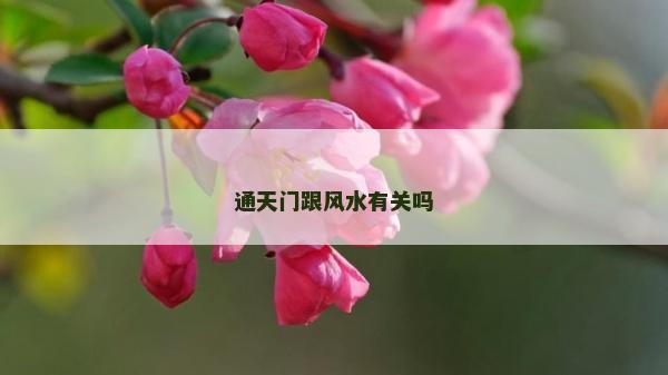 通天门跟风水有关吗