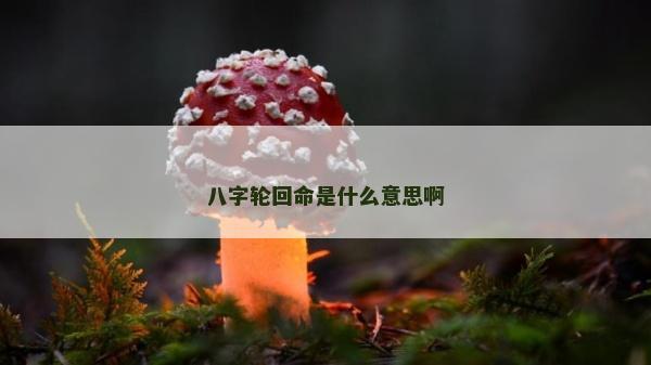 八字轮回命是什么意思啊