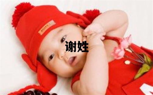 谢姓取名有新意的男宝宝名字