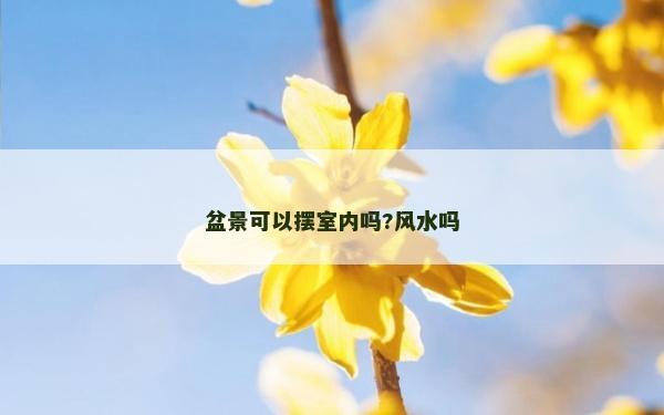 盆景可以摆室内吗?风水吗