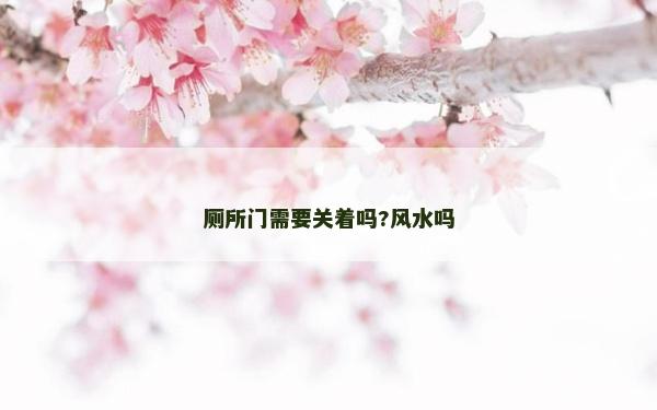 厕所门需要关着吗?风水吗