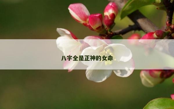 八字全是正神的女命