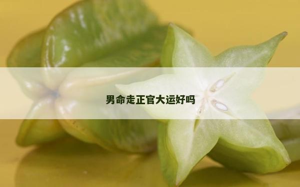 男命走正官大运好吗