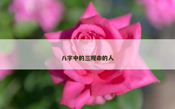 八字中的三观命的人